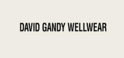 David Gandy Wellwear