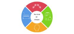 The Circle of Lifestyle - The Circle of Lifestyle - 25% NHS discount