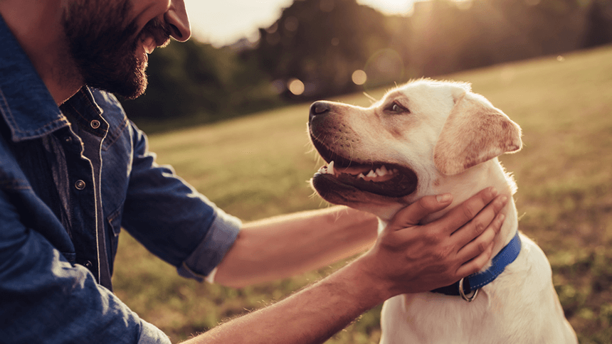 Compare Pet Insurance - You could pay from £3.64 per month*