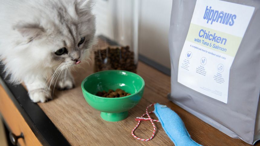 Tippaws - Healthy Food That Will Make Your Cat Purr - 20% NHS discount