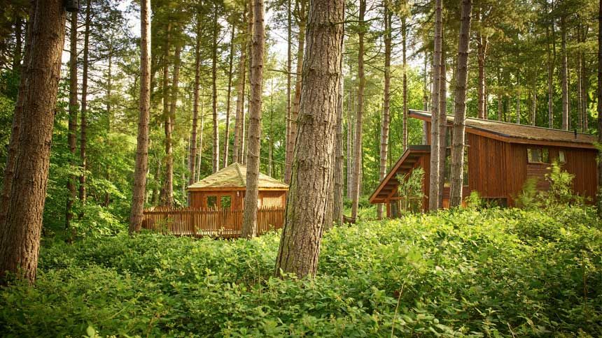 UK Forest Holiday Lodge Breaks - Up to 15% off for NHS