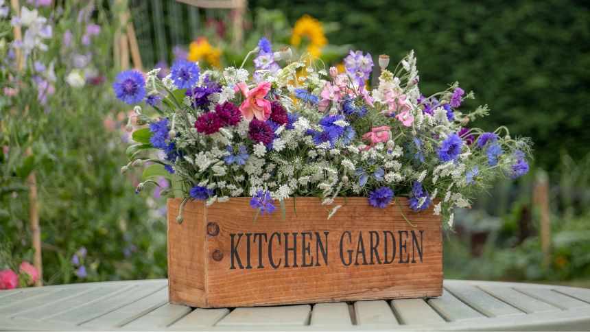 Plants, Seeds, Vegetables & Garden Equipment - 15% NHS discount
